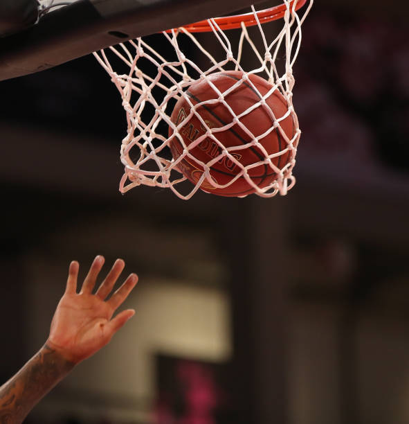 的北欧地区 的北欧地区